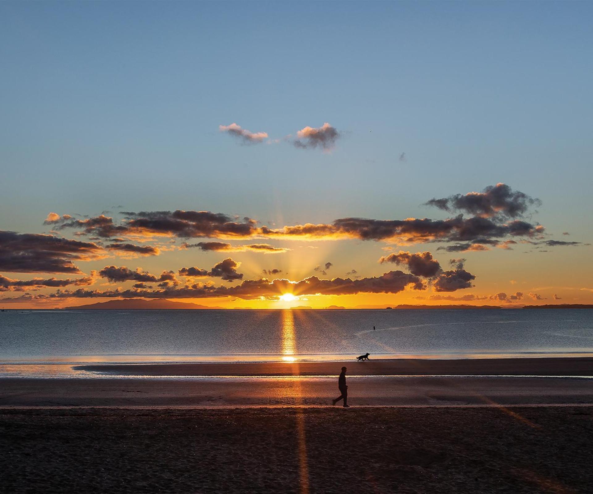 7Br 3Bh Beach Escape. 2 Min To Browns Bay Beach 奥克兰 外观 照片